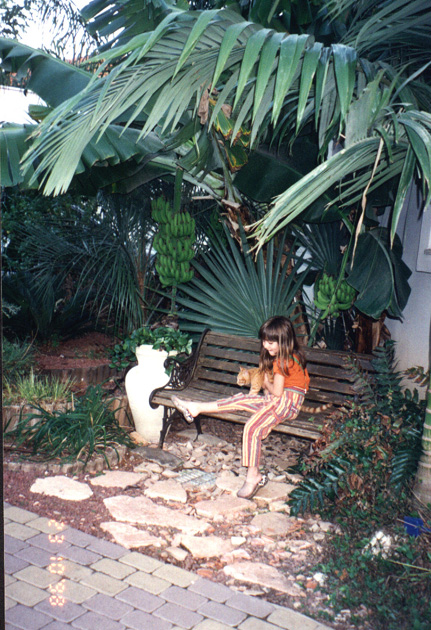 A corner in my garden. We all enjoy it very much !