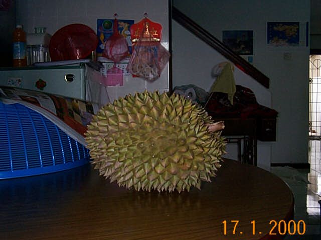 durian.jpg (54012 bytes)
