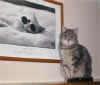 Bailey posing with his favorite photograph
