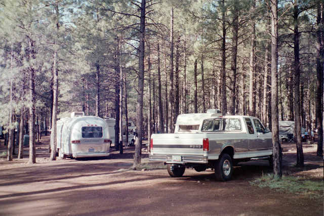 N7JY's Airstream threaded into the trees.