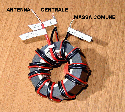 Piccoli posti rossi su pelle sul membro