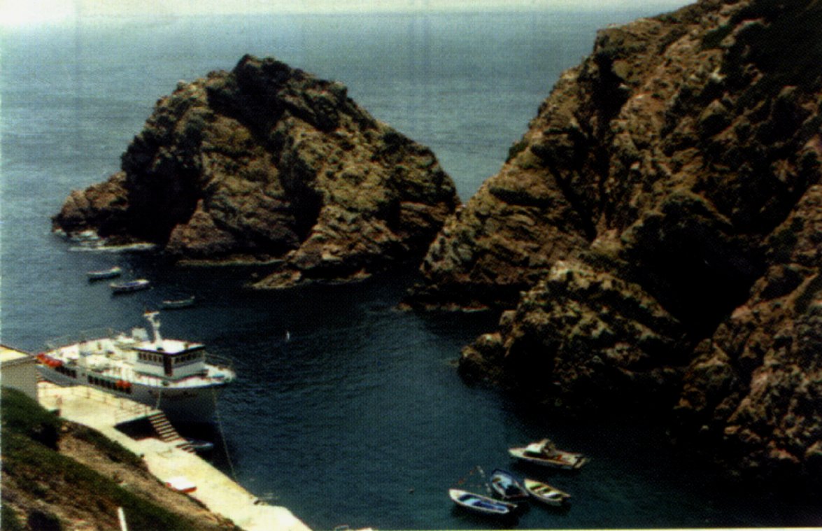 berlengas.jpg (163868 bytes)