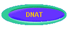 DNAT