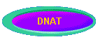 DNAT