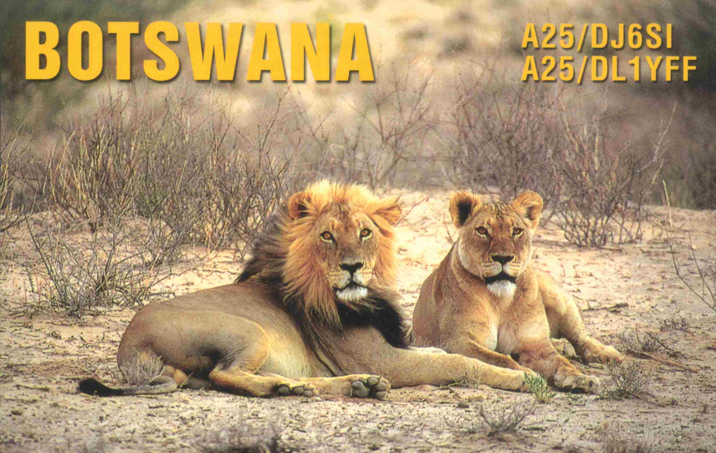 In Botswana 2002.jpg - 156798 Bytes