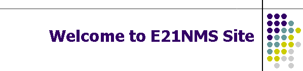 Welcome to E21NMS Site
