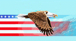 [Eagle]