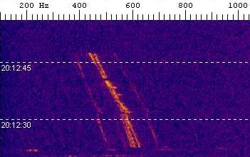 Spectrograph showing G0MJW's Doppler-shifted signal