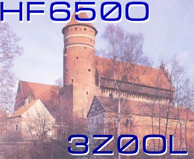 Gothic Castle in Olsztyn