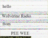 Pee Wee Radio