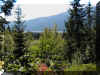 Lake Wenatchee from our deck