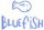 Bluefish jpg