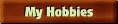 hobbies.gif (948 bytes)