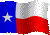 Tex-flag