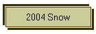 2004 Snow
