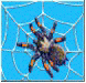 spider.gif (5567 bytes)