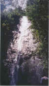 waterfall.jpg (263852 bytes)