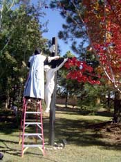 Sister touches up the dark cross stain with a maple tree turning fall colors