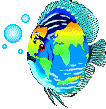 Fish globe graphic