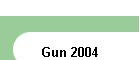 Gun 2004