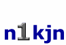 n1kjn logo - 5k