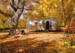 Airstream in the fall