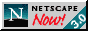 Netscape 3 logo