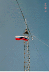 Zastava na vrhu