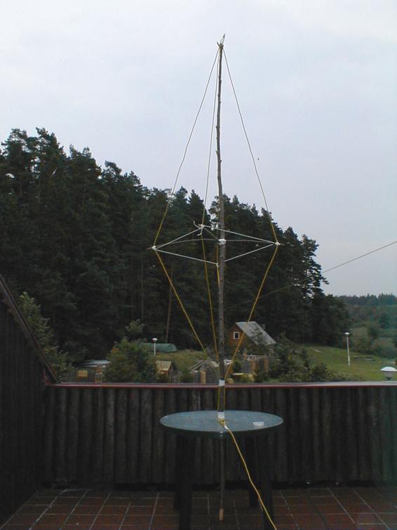 antena-bird-cage.JPG (40792 bytes)