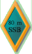 romb80a.gif (4726 bytes)