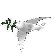 The Dove of Peace flies from site to site. It does not belong to any belief system. Please pass it on!