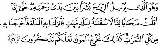 And it is He who sends the winds as good tidings before His mercy until, when they have carried heavy rainclouds, We drive them to a dead land and We send down rain therein and bring forth thereby [some] of all the fruits. Thus will We bring forth the dead; perhaps you may be reminded. Holy Quran - 7:57