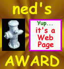 Ned Award