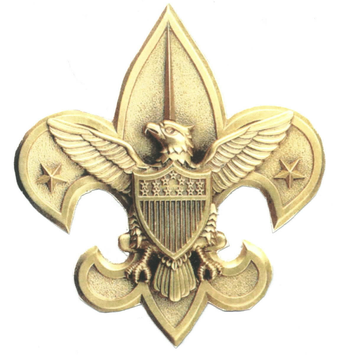 Boy Scouts of America website link