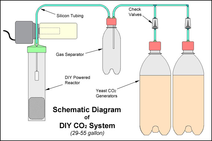 bigdiyco255.jpg