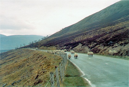 Typical scene on a Scotish road