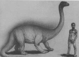 Mokele-Mbembe : Sur Les Traces Du Dernier Dinosaure by Le Comptoir