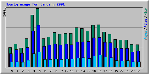 Hourly usage for January 2001