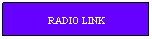 Cuadro de texto: RADIO LINK
