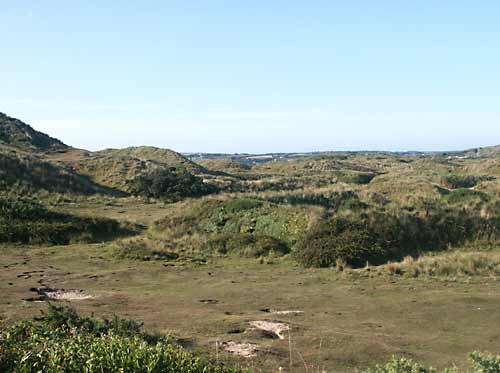 Recent photo of cordite drys