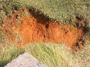 Some rust deposits in the sand