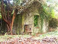 Looking at a window in one end of Pearce's Cottage