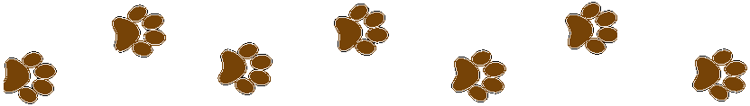 image of paw prints
