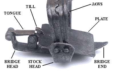 Diagram of a gin trap as seen from the jaw end.