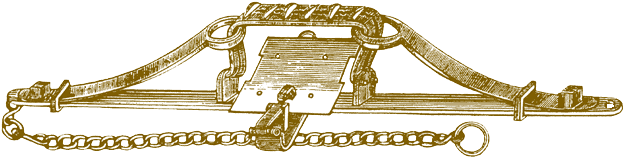 An illustration of a large gin trap, a lion trap