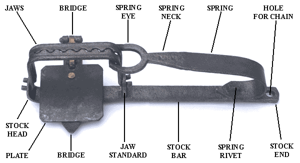 A diagram of a typical gin trap, showing the names and arrangement of the component parts.