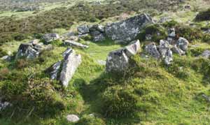 Grimspound hut circle 7