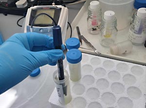 Testing the pH of a solution