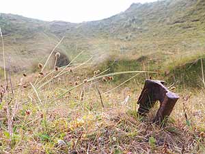 A bit of old rail track sticking out of the ground, Upton Towans