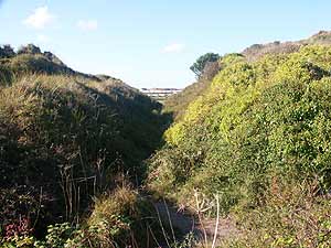 A large cutting through dunes to allow National Explosives trams a level route around Upton Towans